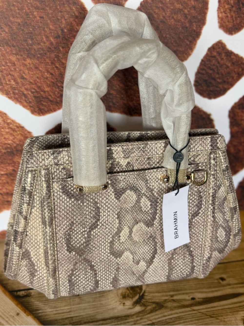 NWT Brahmin Small Arden Gold Blissful Snake BRAHMIN CAPSULE LIMITED EDITION $415 - Picture 16 of 16